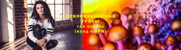 ПСИЛОЦИБИНОВЫЕ ГРИБЫ Балахна