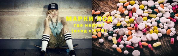 ПСИЛОЦИБИНОВЫЕ ГРИБЫ Балахна