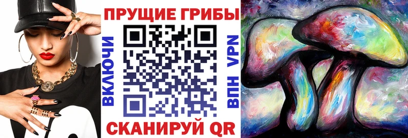 даркнет сайт  Городец  MEGA онион  Галлюциногенные грибы GOLDEN TEACHER 